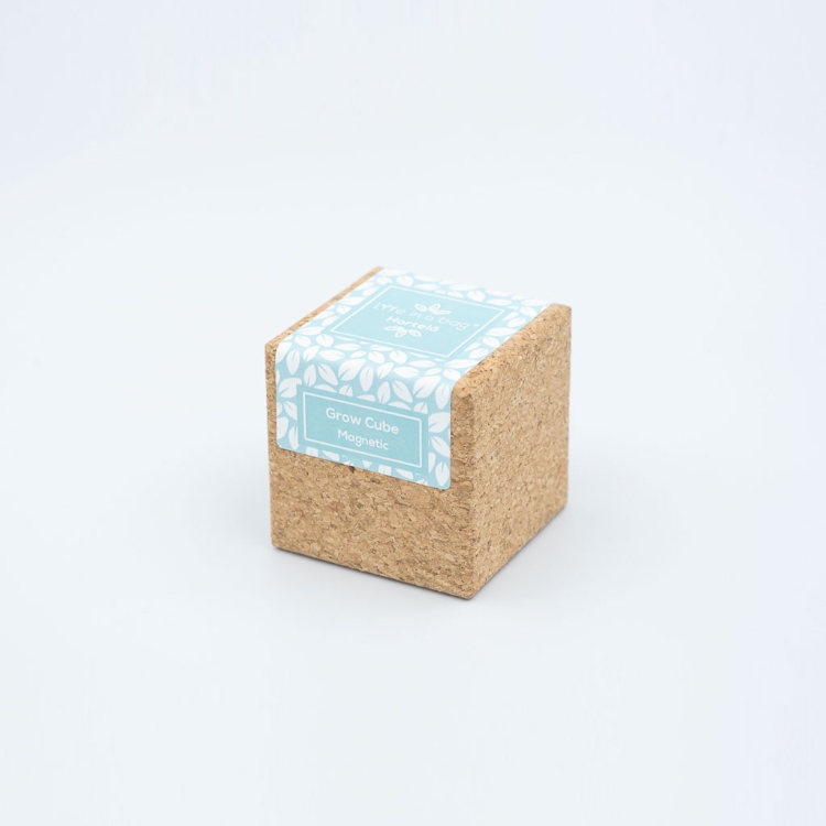 Grow Cube - Hortelã